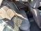 2024 Chevrolet Malibu LS 1FL